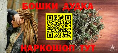 a pvp Гатчина