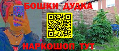 apvp Гагарин