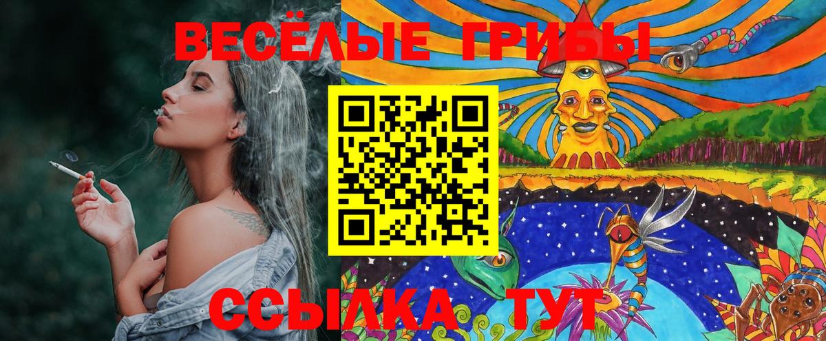 Псилоцибиновые грибы мицелий Гусиноозёрск