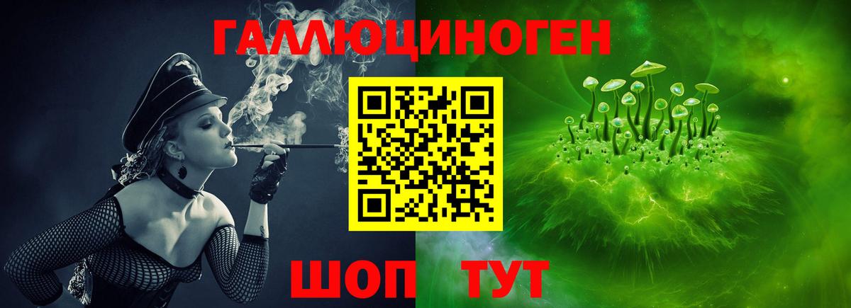 Галлюциногенные грибы Psilocybine cubensis  Гусиноозёрск 