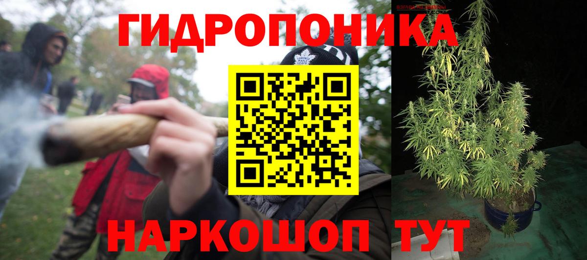 МАРИХУАНА план Гусиноозёрск